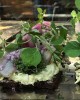 24 stykker højtbelagt luksus smørrebrød